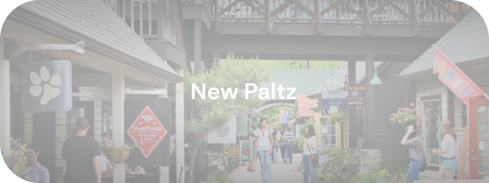 new paltz real estate
