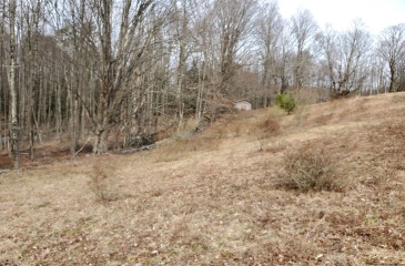The property From the driveway